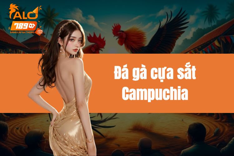 Đá gà cựa sắt Campuchia - Bật mí công thức đặt cược hiệu quả