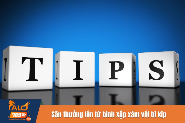 Săn thưởng lớn từ binh xập xám với bí kíp hiệu quả